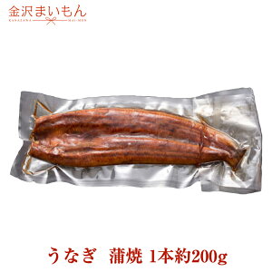 yȂ 1{z Y yp̉N EiM elI\ TCY1 𓀑O200g(𓀌185g) Y  Ε v[g Mtg  yp̉N Pi MtgyyΉ