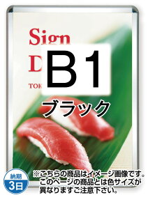 �|�X�^�[�O���b�v32R(���O�p)B1�u���b�N PG-32R-B1B-G