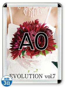 |X^[Obv44R(p)A0Vo[ PG-44R-A0C-N