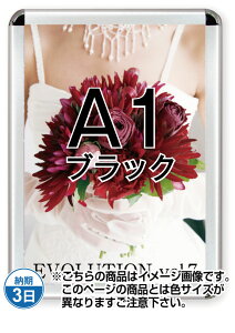 |X^[Obv44R(p)A1ubN PG-44R-A1B-N