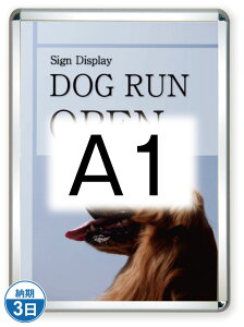 |X^[Obv44R(Op)A1Vo[ PG-44R-A1C-G