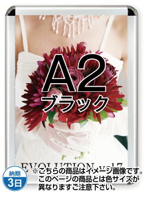 |X^[Obv44R(p)A2ubN PG-44R-A2B-N