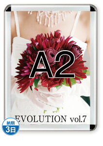 |X^[Obv44R(p)A2Vo[ PG-44R-A2C-N