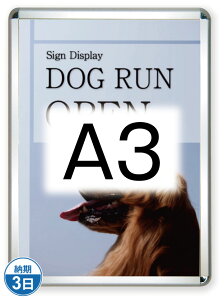 |X^[Obv44R(Op)A3Vo[ PG-44R-A3C-G