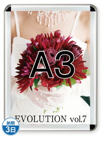 |X^[Obv44R(p)A3Vo[ PG-44R-A3C-N