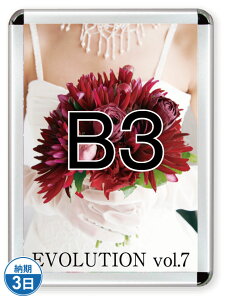 |X^[Obv44R(p)B3Vo[ PG-44R-B3C-N