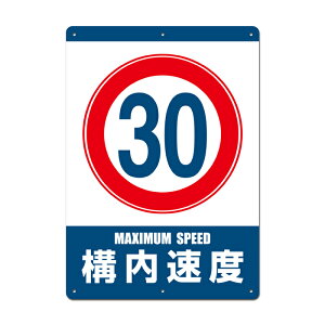 yŔz\x30km tȒP W297xH420mm(A3) OpW@Y