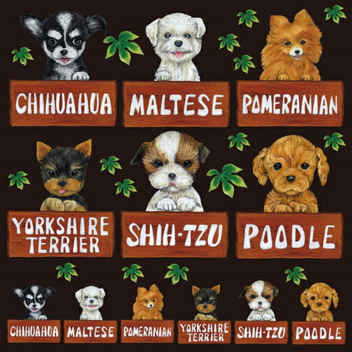 楽天市場 シール 犬 詰め合わせ 装飾 デコレーションシール チョークアート 窓ガラス 黒板 看板 Pop ステッカー 最低購入数量3枚 看板ショップ