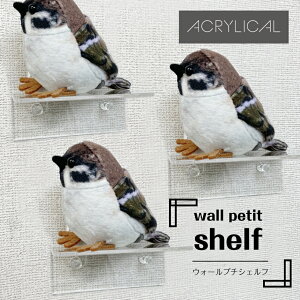 ANJ ANEH[v`VFt 3Zbg p^Cv 