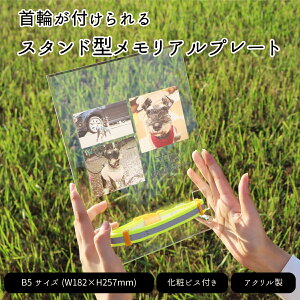 ANJ ybgpAv[g X^h^ B5TCY 18.2cm×25.7cm 5mm NA