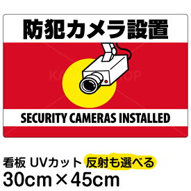 看板/表示板/「防犯カメラ設置」横型/小サイズ/30cm×45cm/監視カメラ/イラスト/プレート
