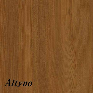 ACJ IeBm SܕtσtB EbhOC VW-519Cق 1220 (1mPʂł̍w)