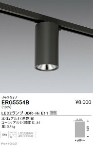 �y�����Ɩ��z�yendo�Ɩ��z �������F �V�[�����O�_�E�����C�g �v���O�^�C�v JDR-HiTYPE �� ERG5554B �������v�ʔ�