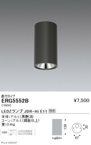 �y�����Ɩ��z�yendo�Ɩ��z �������F �V�[�����O�_�E�����C�g ���t�^�C�v JDR-HiTYPE �� ERG5552B �������v�ʔ�