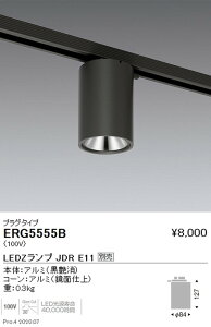 �y�����Ɩ��z�yendo�Ɩ��z �������F �V�[�����O�_�E�����C�g �v���O�^�C�v JDRTYPE �� ERG5555B �������v�ʔ�