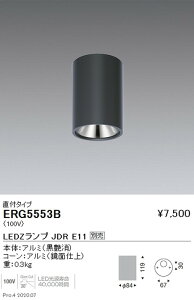 �y�����Ɩ��z�yendo�Ɩ��z �������F �V�[�����O�_�E�����C�g ���t�^�C�v JDRTYPE �� ERG5553B �������v�ʔ�