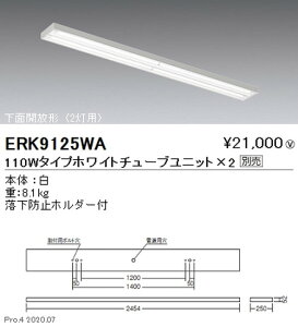 yƖzyendoƖz F ǌ`LEDx[XCg t ʊJ` 110W^Cv ERK9125WA jbgʔ