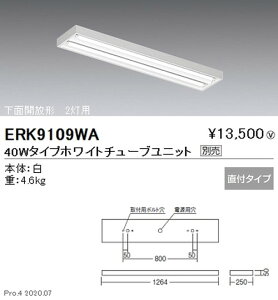 yƖzyendoƖz F ǌ`LEDx[XCg t ʊJ` 40W^Cv ERK9109WA jbgʔ