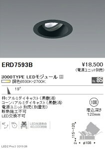 �y�����Ɩ��z�yendo�Ɩ��z �������F���j�o�[�T���_�E�����C�g ��100 ���p�z�� �� 3000TYPE ERD7593B