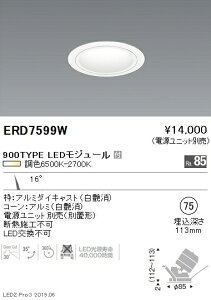 �y�����Ɩ��z�yendo�Ɩ��z �������F���j�o�[�T���_�E�����C�g ��75 ���p�z�� �� 900TYPE ERD7599W