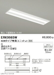 yƖzyendoƖz Fx[XCg { ʊJ` 40W^Cv W:300 ERK9985W jbgʔ