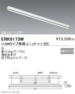 yƖzyendoƖz {ݏƖ ǌ`LEDx[XCg { 110W^Cv t txm` 1p ERK9173W jbgʔ