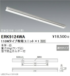 yƖzyendoƖz {ݏƖ ǌ`LEDx[XCg { 110W^Cv t ˊ}t` 1p ERK9124WA jbgʔ