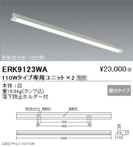 yƖzyendoƖz {ݏƖ ǌ`LEDx[XCg { 110W^Cv t ˊ}t` 2p ERK9123WA jbgʔ