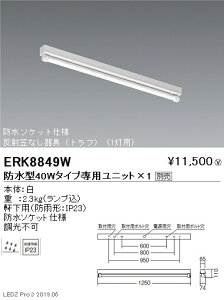 yƖzyendoƖz AEghACg px[XCg 170V[Y 40W^Cv { t ˊ}Ȃ(gt) 1p ERK8849W jbgʔ