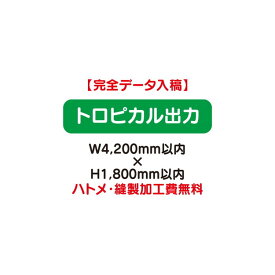 【タペストリー】【バナー】【フルカラー出力】 【特注オーダー品】トロピカル出力 W4200×H1800【送料別途】オリジナルのタペストリーやバナーが製作できます。