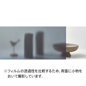 yKXtBzyTQcKXtBz ՔMtBi˒/~[/ډBj Steam Shadow 20 X`[Vh[ 20 GF1410 125cm (1mPʐؔ) | NAXKXtB TQcK