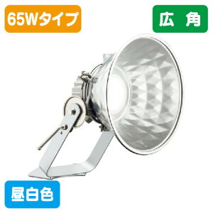 【岩崎電気】【投光器】【LED投光器】E30431W/NSAN9 レディオック フラッド スポラート 65Wタイプ (水銀ランプ250W相当) 広角 昼白色