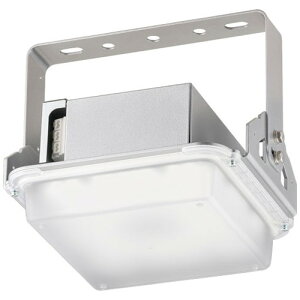 【岩崎電気】【高天井照明】【高天井led】EHCL08113W/NSAJZ9 高天井用照明 レディオック ハイベイ ガンマ シンプルモデル 80W 水銀ランプ400W/メタルハライドランプ300W相当 クラス1500 超広角タイ