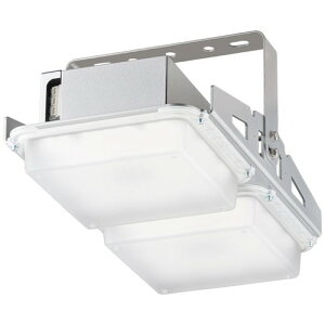 【岩崎電気】【高天井照明】【高天井led】EHCL16113W/NSAJZ2 高天井用照明 レディオック ハイベイ ガンマ シンプルモデル 160W 水銀ランプ700W相当 クラス3000 超広角