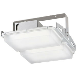 【岩崎電気】【高天井照明】【高天井led】EHCL20113W/NSAJZ2 高天井用照明 レディオック ハイベイ ガンマ シンプルモデル 205W メタルハライドランプ700W相当 クラス4000 超広角