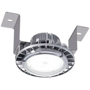 【岩崎電気】【高天井照明】【高天井led】EHTS08025W/NSAN9 高天井用照明 耐振耐衝撃形 レディオック ハイベイ シータ 80W 水銀ランプ250W 300W相当 クラス1000 広角