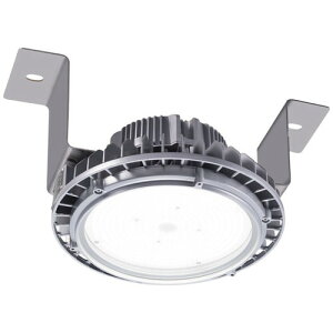 【岩崎電気】【高天井照明】【高天井led】EHTS16025W/NSAN9 高天井用照明 耐振耐衝撃形 レディオック ハイベイ シータ 160W 水銀ランプ700W相当 クラス3000 広角