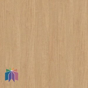 yTQcAebNzyTQcCNV[gzy1mPʂł̔̔zx[VbNEbh BC-5453ق SܕtσtB | hAgȂǂ̑lȌ`ւ̎{H\ȔSܕt