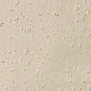 y1mPʐؔzTQc NX GNZNg JQgqJ SGB2022 | ǎ NX ǎ TQcǎ ǎ ǎւ ǎ Vvǎ ǎ 嗝Εǎ ǎ 