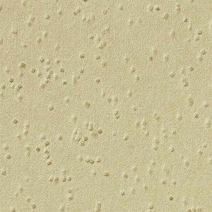 y1mPʐؔzTQc NX GNZNg JQgqJ SGB2023 | ǎ NX ǎ TQcǎ ǎ ǎւ ǎ Vvǎ ǎ 嗝Εǎ ǎ 