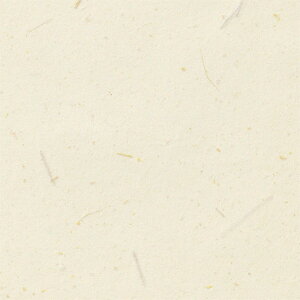 y1mPʐؔzTQc NX GNZNg SHITSURAHI a SGB2067 | ǎ NX ǎ TQcǎ ǎ ǎւ ǎ Vvǎ ǎ 嗝Εǎ ǎ 