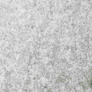 y1{PʁzTQc NX GNZNg SHITSURAHI  SGB2098 | ǎ NX ǎ TQcǎ ǎ ǎւ ǎ Vvǎ ǎ 嗝Εǎ ǎ gC