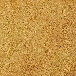 y1mPʐؔzTQc NX GNZNg SHITSURAHI  SGB2111 | ǎ NX ǎ TQcǎ ǎ ǎւ ǎ Vvǎ ǎ 嗝Εǎ ǎ g