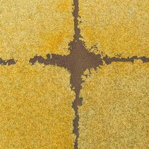 y1mPʐؔzTQc NX GNZNg SHITSURAHI  SGB2115 | ǎ NX ǎ TQcǎ ǎ ǎւ ǎ Vvǎ ǎ 嗝Εǎ ǎ g