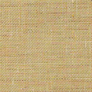 y1mPʐؔzTQc NX GNZNg SHITSURAHI D SGB2206 | ǎ NX ǎ TQcǎ ǎ ǎւ ǎ Vvǎ ǎ 嗝Εǎ ǎ g