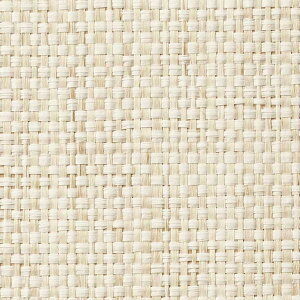 y1mPʐؔzTQc NX GNZNg SHITSURAHI z SGB2242 | ǎ NX ǎ TQcǎ ǎ ǎւ ǎ Vvǎ ǎ 嗝Εǎ ǎ 