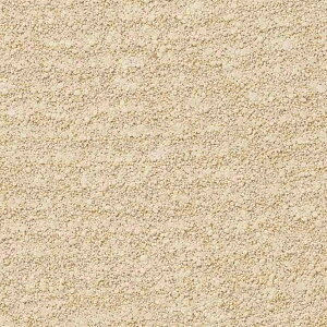 y1mPʐؔzTQc NX GNZNg SHITSURAHI y/]y SGB2289 | ǎ NX ǎ TQcǎ ǎ ǎւ ǎ Vvǎ ǎ 嗝Εǎ 