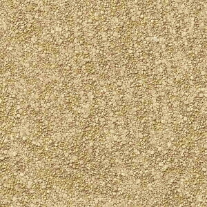 y1mPʐؔzTQc NX GNZNg SHITSURAHI y/]y SGB2293 | ǎ NX ǎ TQcǎ ǎ ǎւ ǎ Vvǎ ǎ 嗝Εǎ 