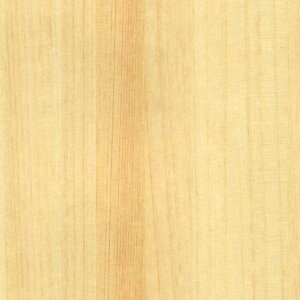 y1PʁzTQc NX GNZNg SHITSURAHI / WILL WOOD SGC153-S | ǎ NX ǎ TQcǎ ǎ ǎւ ǎ Vvǎ ǎ 嗝Εǎ 