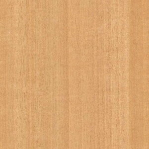 y1PʁzTQc NX GNZNg SHITSURAHI / WILL WOOD SGC158-L | ǎ NX ǎ TQcǎ ǎ ǎւ ǎ Vvǎ ǎ 嗝Εǎ 